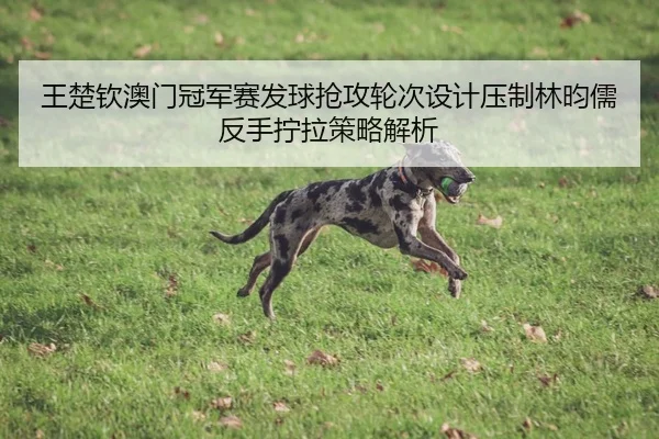王楚钦澳门冠军赛发球抢攻轮次设计压制林昀儒反手拧拉策略解析